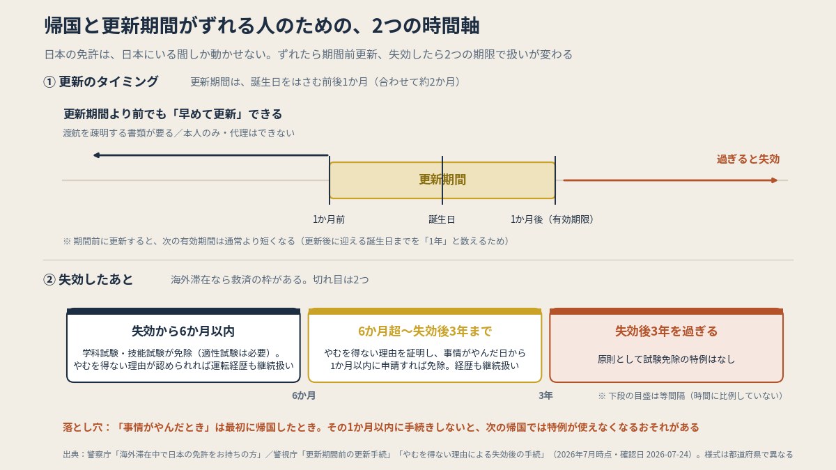 更新期間は誕生日の前後1か月。ずれるなら期間前更新、失効後は6か月と3年が切れ目（本文より作図）